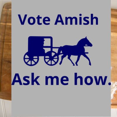 Vote Amish - WAFFLE WEAVE TOWEL 16" X 24"  (2-pack) Thumbnail