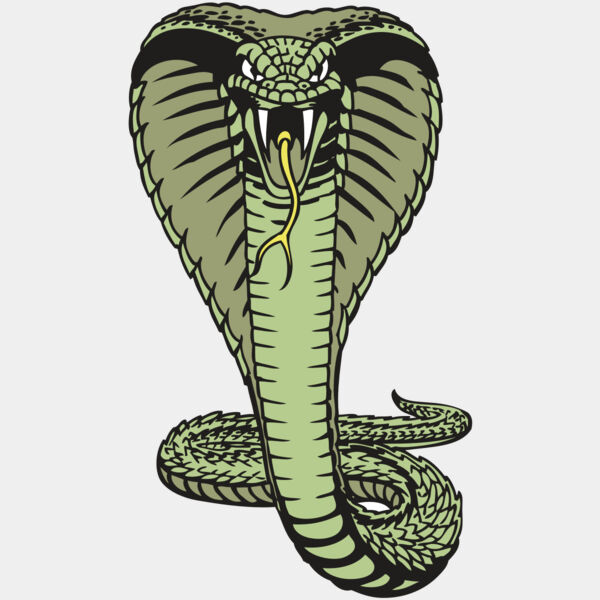 BAW SNAKE 15 RC Thumbnail