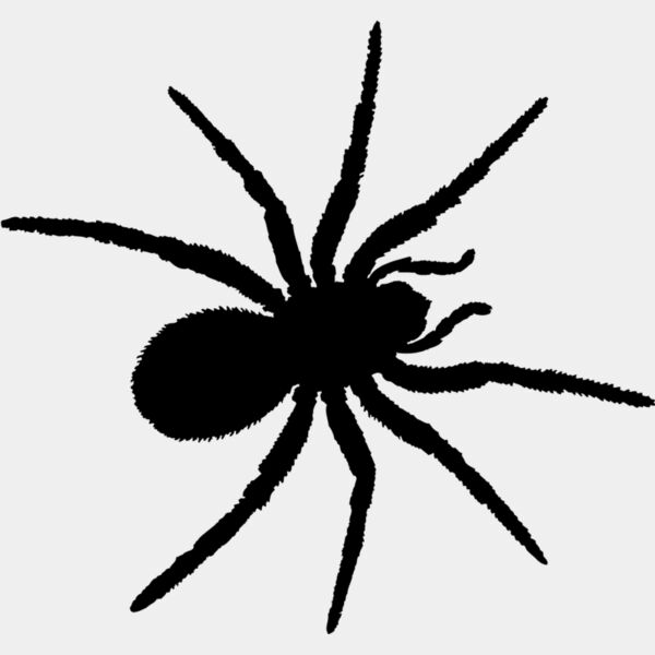 Spider Silhouette 4 Thumbnail