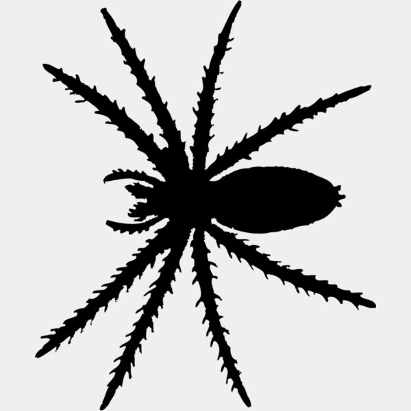 Spider Silhouette 6 Thumbnail