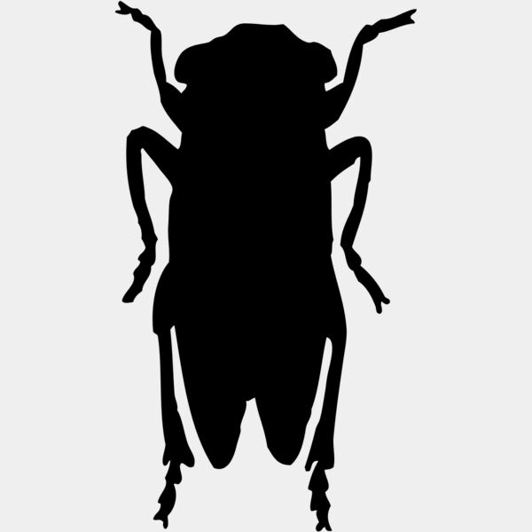 Fly Silhouette 1 Thumbnail