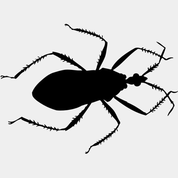 Cockroach Silhouette 4 Thumbnail