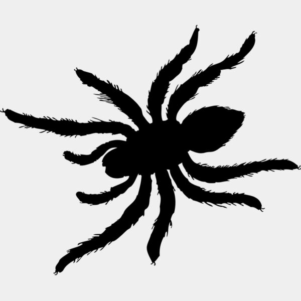 Spider Silhouette 10 Thumbnail
