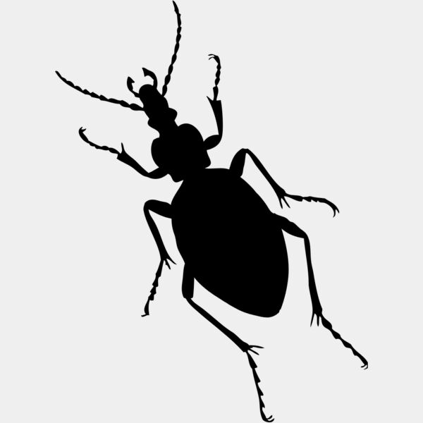 Bug Silhouette 3 Thumbnail
