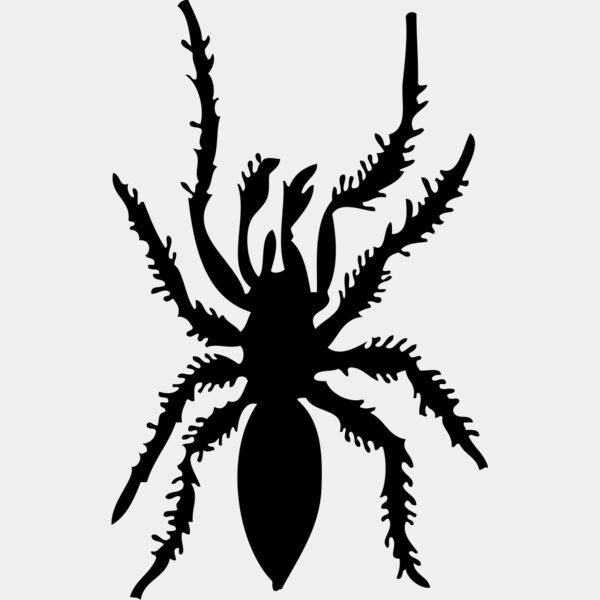 Spider Silhouette 5 Thumbnail