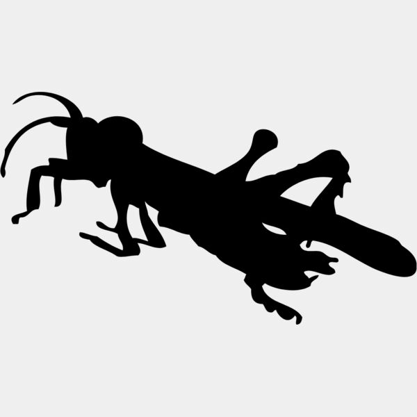 Bug Silhouette 14 Thumbnail