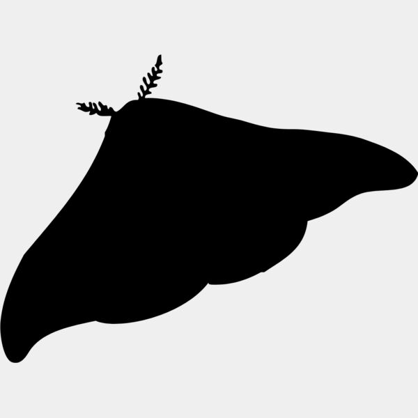 Moth Silhouette 2 Thumbnail