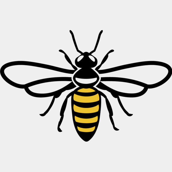 Bee 12 Thumbnail