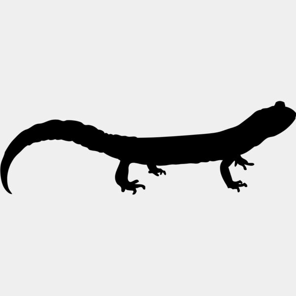 Lizard Silhouette 9 Thumbnail