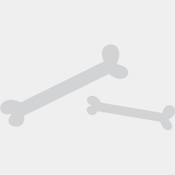 Cartoon Dinosaur Bones 1 Thumbnail