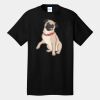 Tall Core Cotton Tee Thumbnail